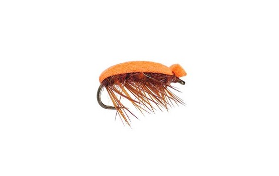 Tonis Orange Foam Beetle