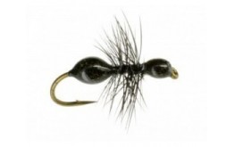 Transpar Ant (Black)