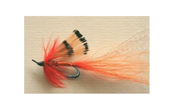allys shrimp orange