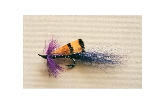 allys shrimp purple