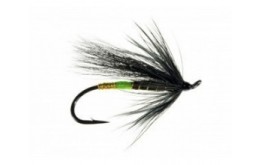 Black Bear Green Butt