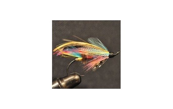 Butcher Full Dressed