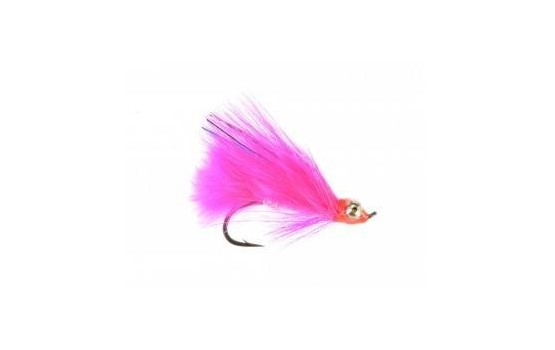 Coho Comet