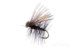 Elk Hair Caddis Black