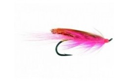 General Practitioner Pink