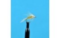 Emerger Pale Morning Dun