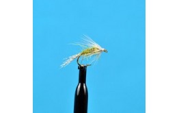 Emerger Pale Morning Dun