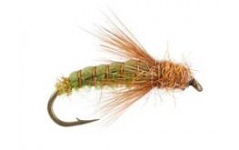 Emerger Sedge Pupa Olive