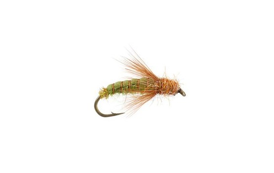 Emerger Sedge Pupa Olive