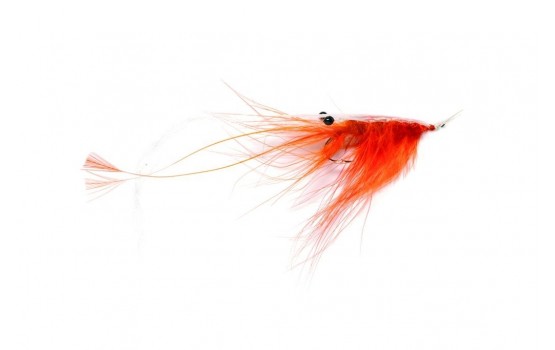 Oeland Shrimp Orange