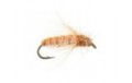 Emerger Sedge Pupa Orange