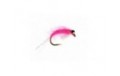 Sockeye Shrimp Pink