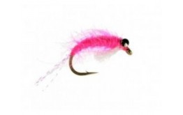 Sockeye Shrimp Pink
