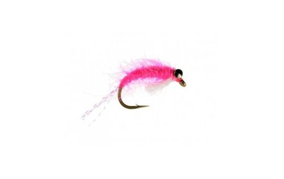 Sockeye Shrimp Pink
