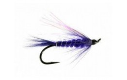 Street Walker Purple