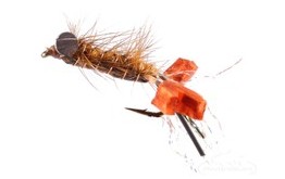 Crayfish Fighting Craw Tan Ritts