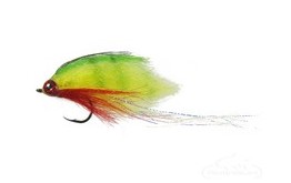 Cruiser Fly Peacock