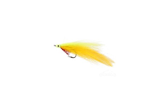 Deceiver Yellow Chartreuse
