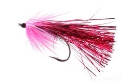 Flash Fly Cranberry
