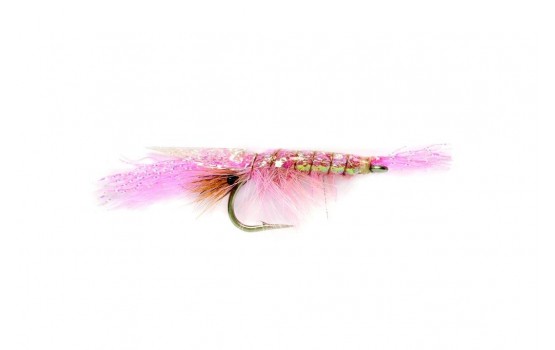 Flashback Shrimp Pink