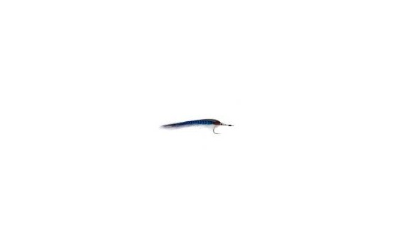 GT Needlefish Blue & White