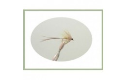 French Partridge Mayfly