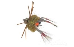 Kung Fu Crab Brown Olive