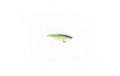 Los Roques Minnow Green