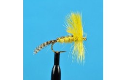 Big Yellow May Dun