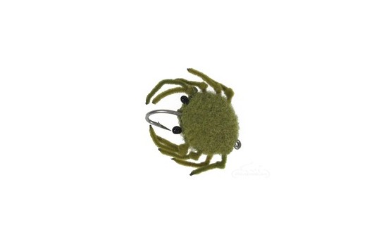 Money Crab Olive