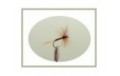 Ginger Quill Dry Fly