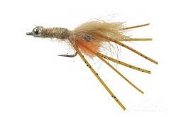 Orange Bearded Mantis Shrimp Tan Beadchain