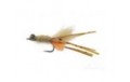 Orange Bearded Mantis Shrimp Tan