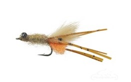 Orange Bearded Mantis Shrimp Tan