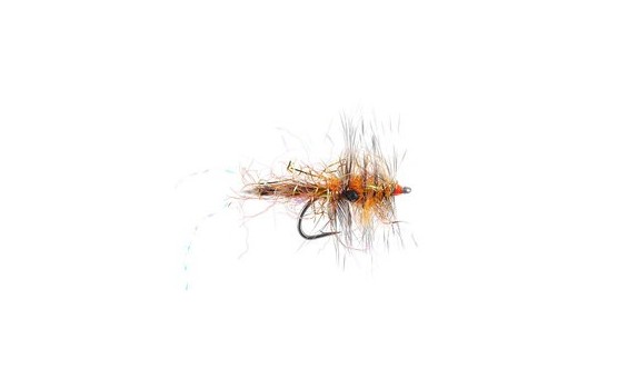 Polar Chenille Shrimp Orange