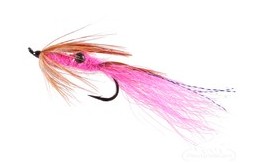 Prawn Pink