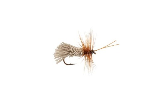 Goddards Caddis Natural