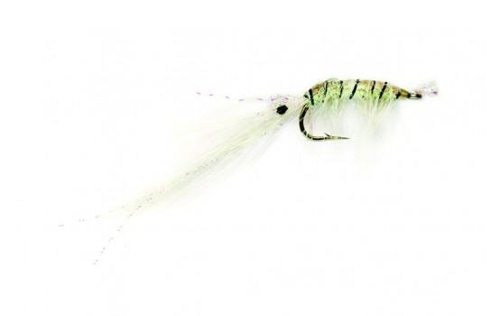 Sand Shrimp Punter's Choice