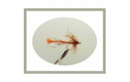 Gold Head Orange Detached Body Daddy