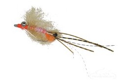 Spawning Shrimp Beadchain Eye