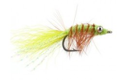 Spawning Shrimp Chart