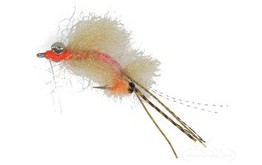 Spawning Shrimp Natural