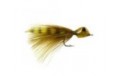 Splayed Shrimp Olive