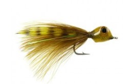 Splayed Shrimp Olive