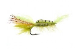 Standing Shrimp Chart