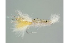 Standing Shrimp Clear