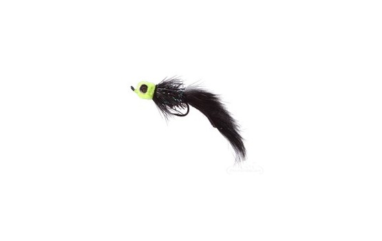 Starlight Leech Chartreuse