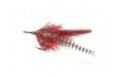 Tarpon Fly Red White