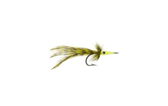 Tarpon Master Olive