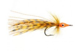 Tarpon Master Orange